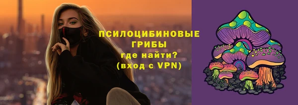 тгк Богородицк