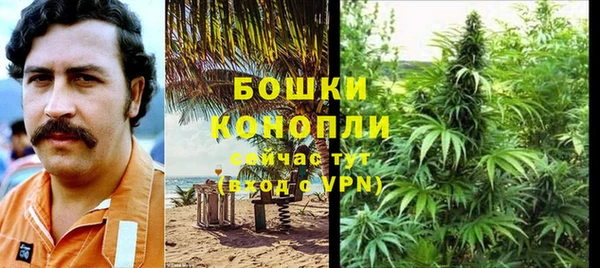 эйфоретик Богородск