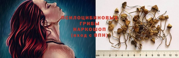тгк Богородицк