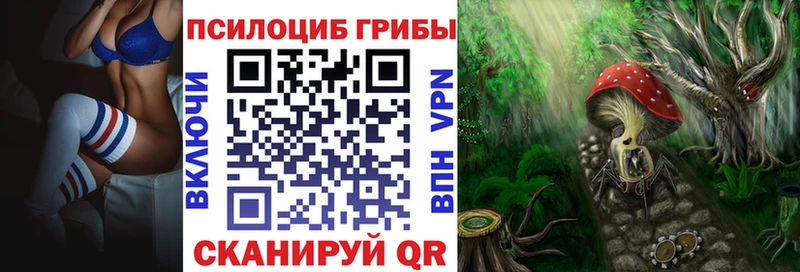 Псилоцибиновые грибы Psilocybine cubensis  Верещагино 